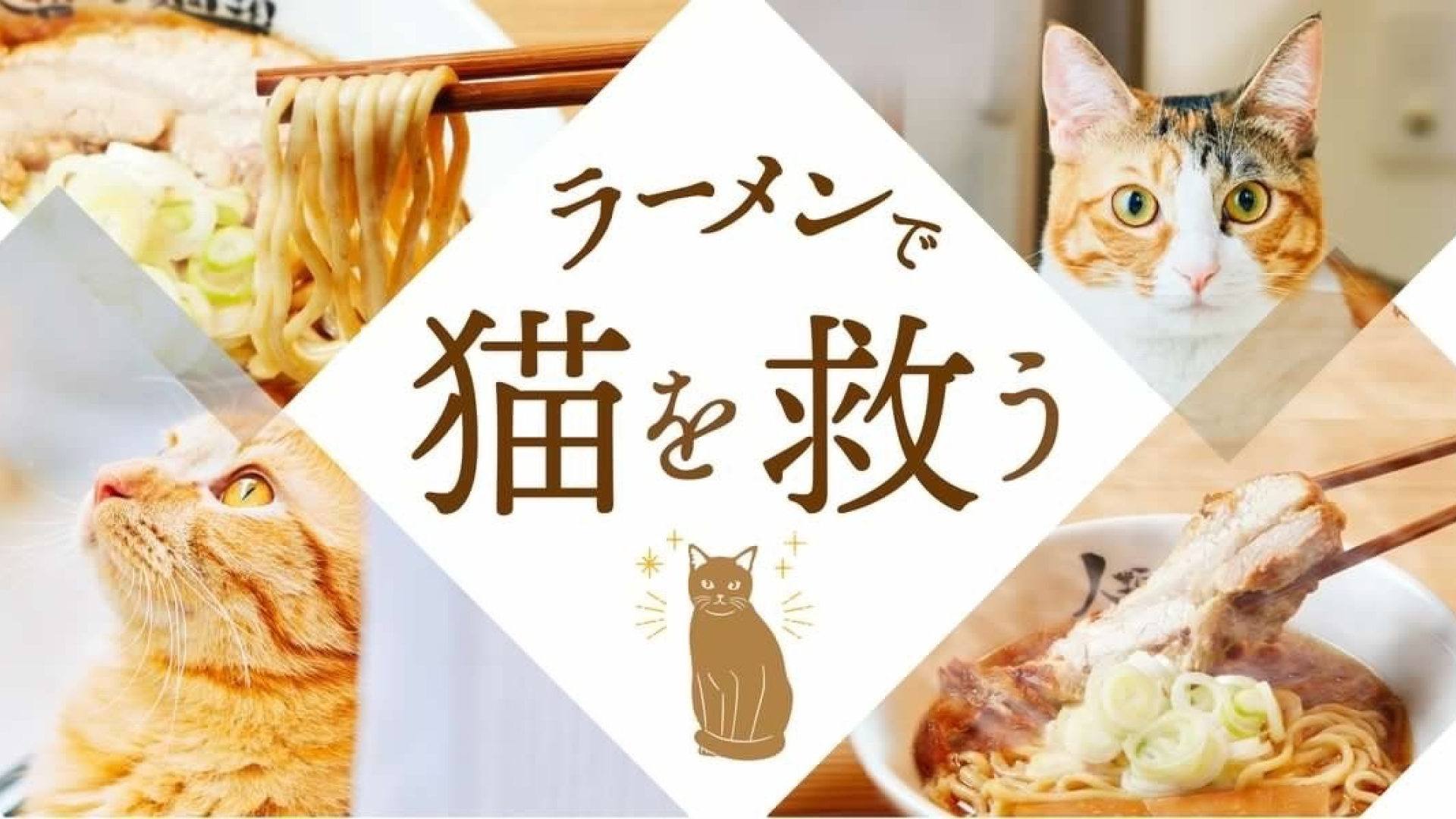 Star Creation所属の｢つなまよ🐈｣が、クラウドファンディングサイトREADYFORにて「保護猫ラーメンカフェプロジェクト」の目標金額1,000万円を達成！